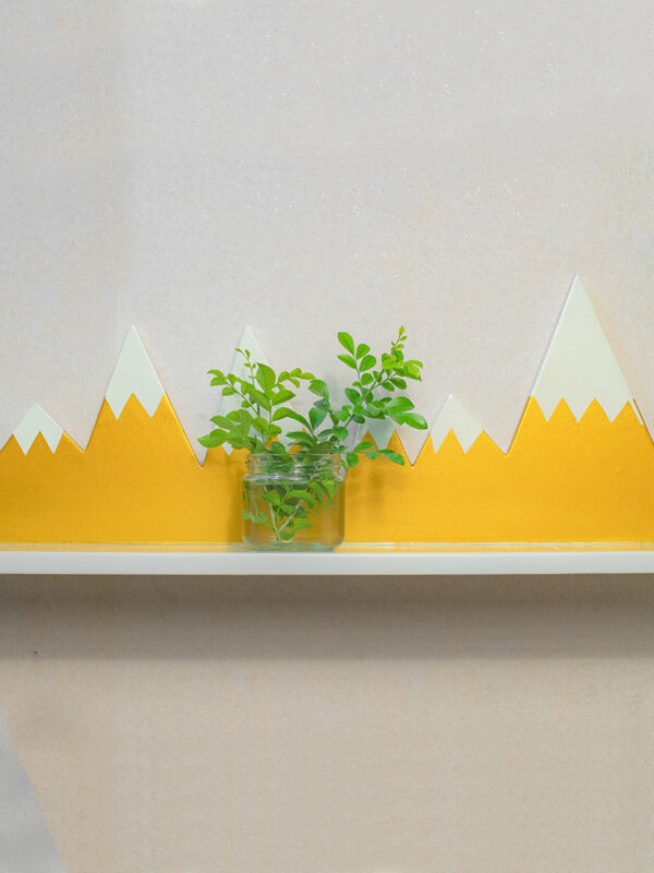 Wood Mountain Shelf
