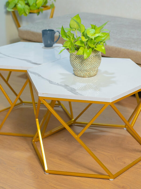Marble Dining Table Set ( with Pot )