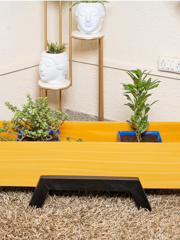 Rectangle Wooden Succulent Planter Box Indoor/Outdoor Eco-Friendly for Garden for Home