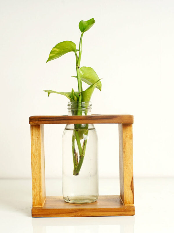 Square Test Tube Planter Pack of 2| Planters for Home Decor | Office Decor | Table top Plants | Planters for Living Room | Decorative Plants | Planter for Gifts | Table Decor