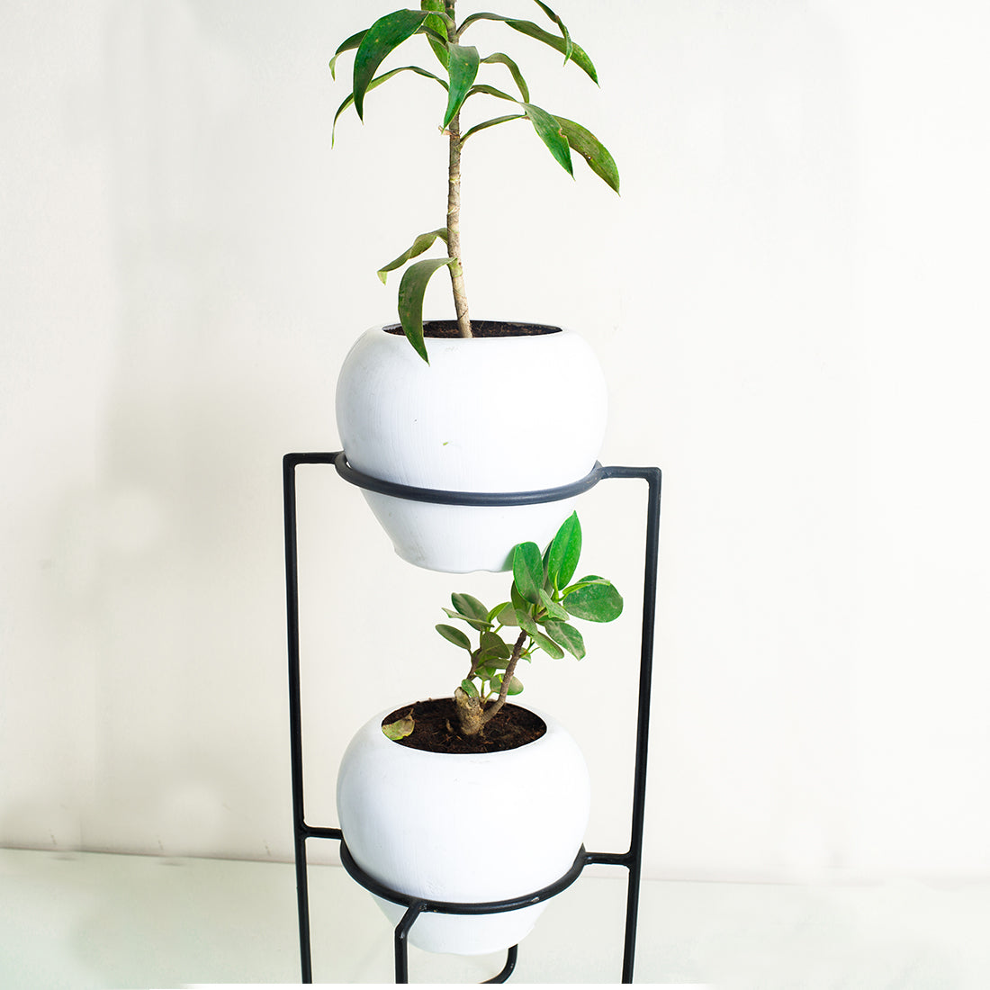 Table Top Metal Stand with Planter for Flowers & Indoor Plants | Small Metal Pots for Livingroom, Balcony & Home Decoration - Image 4