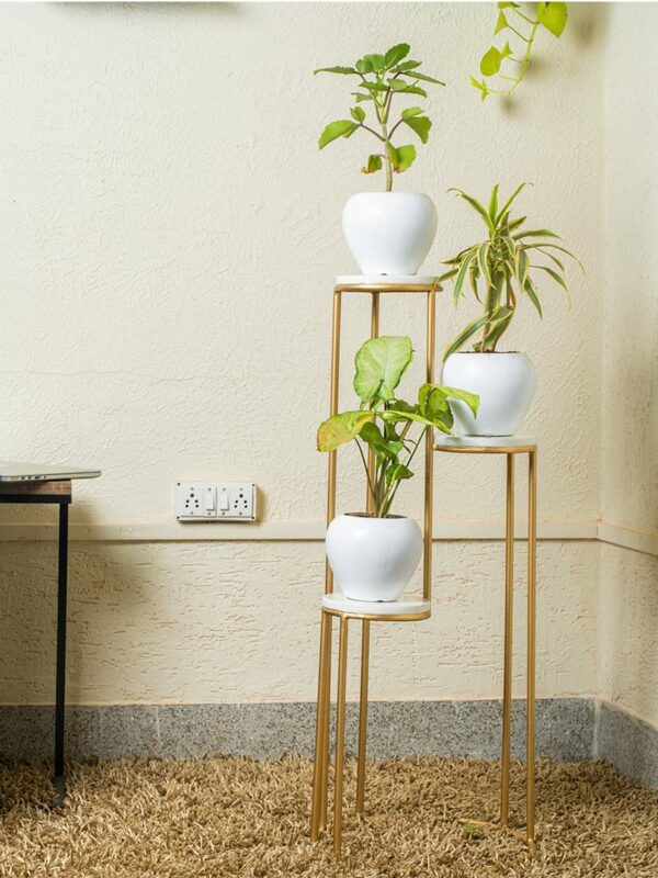 Iron Plant Stand Outdoor