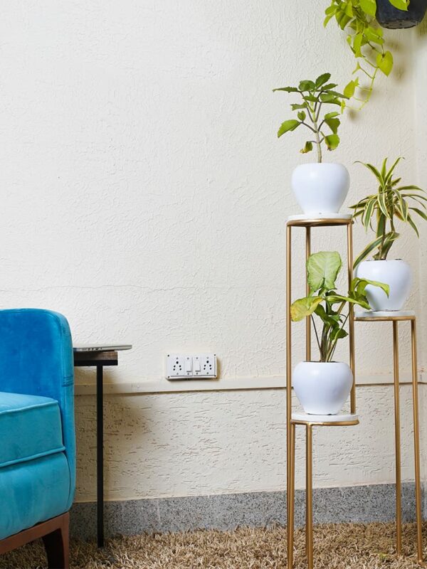 Iron Plant Stand