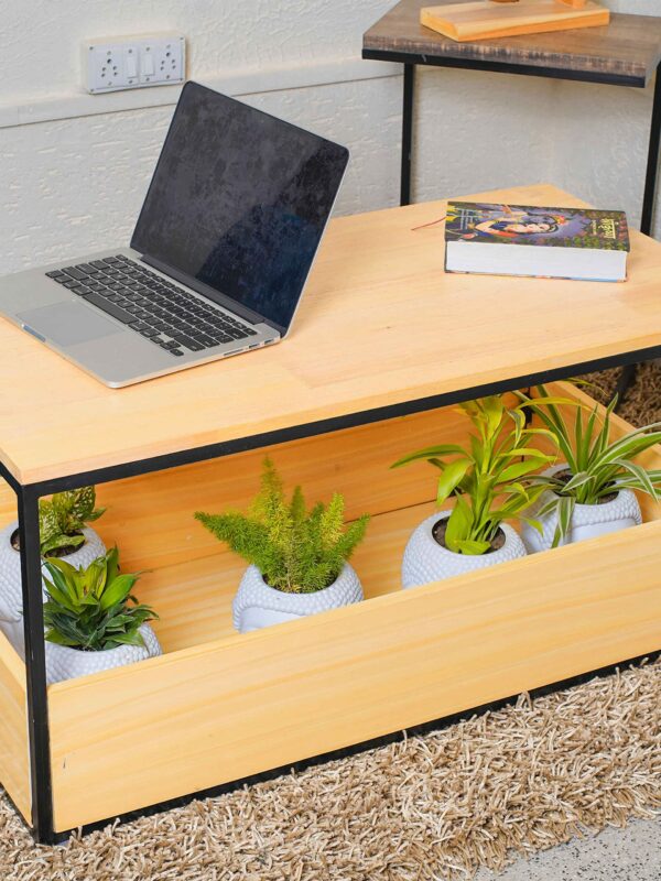 Rectangular Shape Coffee Table/Centre Table with Storage