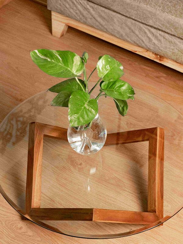 Solid Wood Low Rhombus Coffee Table