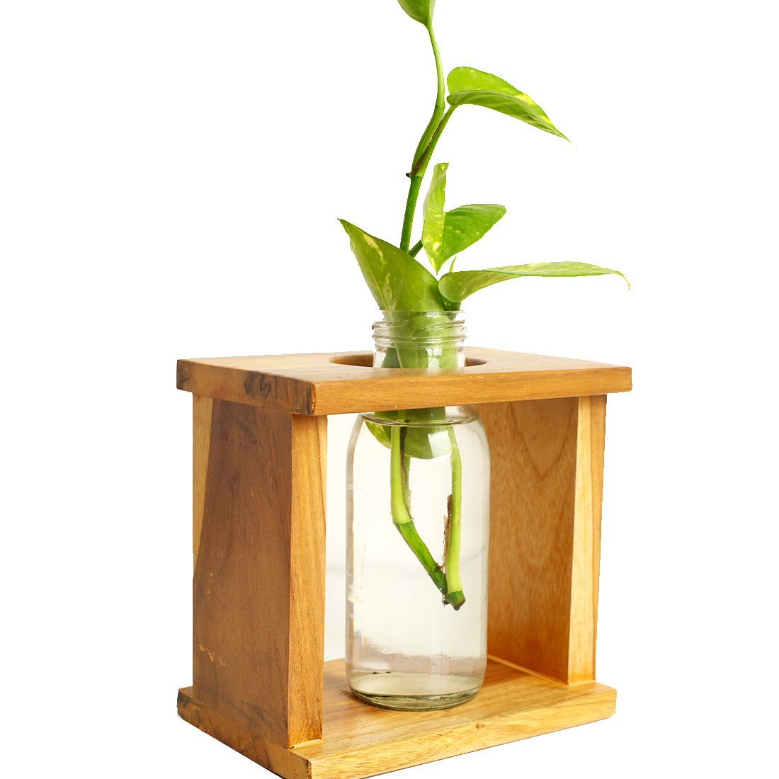 Square Test Tube Planter Pack of 2| Planters for Home Decor | Office Decor | Table top Plants | Planters for Living Room | Decorative Plants | Planter for Gifts | Table Decor - Image 2