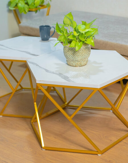Marble Dining Table Set ( with Pot )