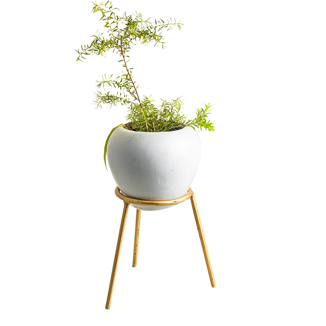 Metal Planters Long Round Gold Stand, Stylish Long Round Strong legs Perfect Stand For Planter indoor and Outdoor ( Planters Holder Stand - Set of 1) - Image 3