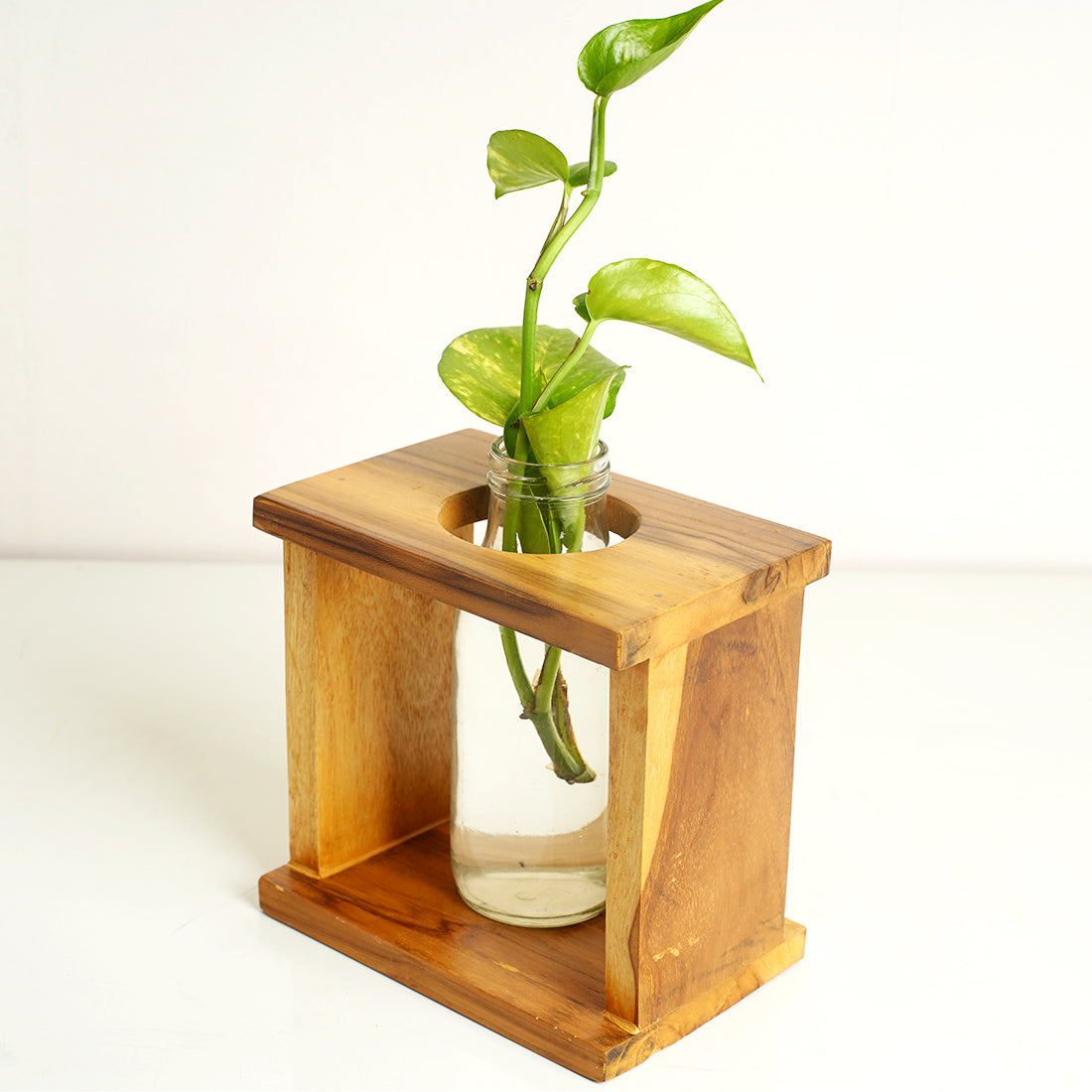 Square Test Tube Planter Pack of 2| Planters for Home Decor | Office Decor | Table top Plants | Planters for Living Room | Decorative Plants | Planter for Gifts | Table Decor - Image 3