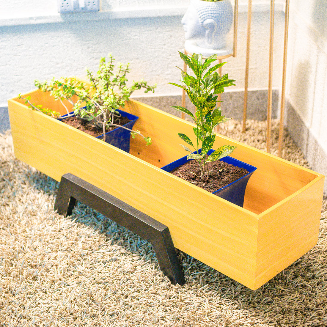 Rectangle Wooden Succulent Planter Box Indoor/Outdoor Eco-Friendly for Garden for Home - Image 3