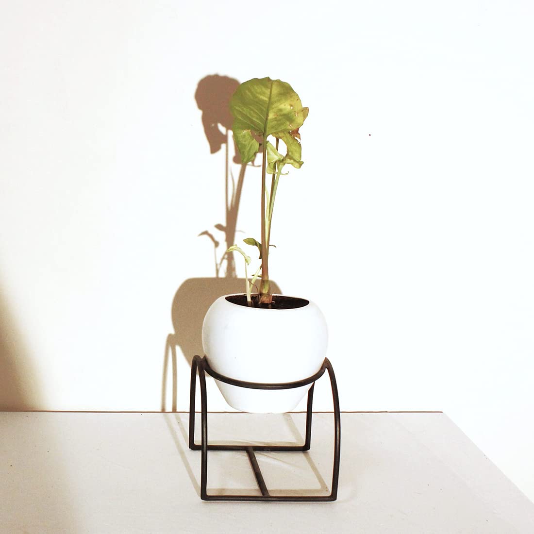 Modern Small Iron Plant Stand Without Planter, Corner Plant Stand, Kitchen Dining Table Pot Stand for Living Room Decor Home Decor Balcony Outdoor - Image 2