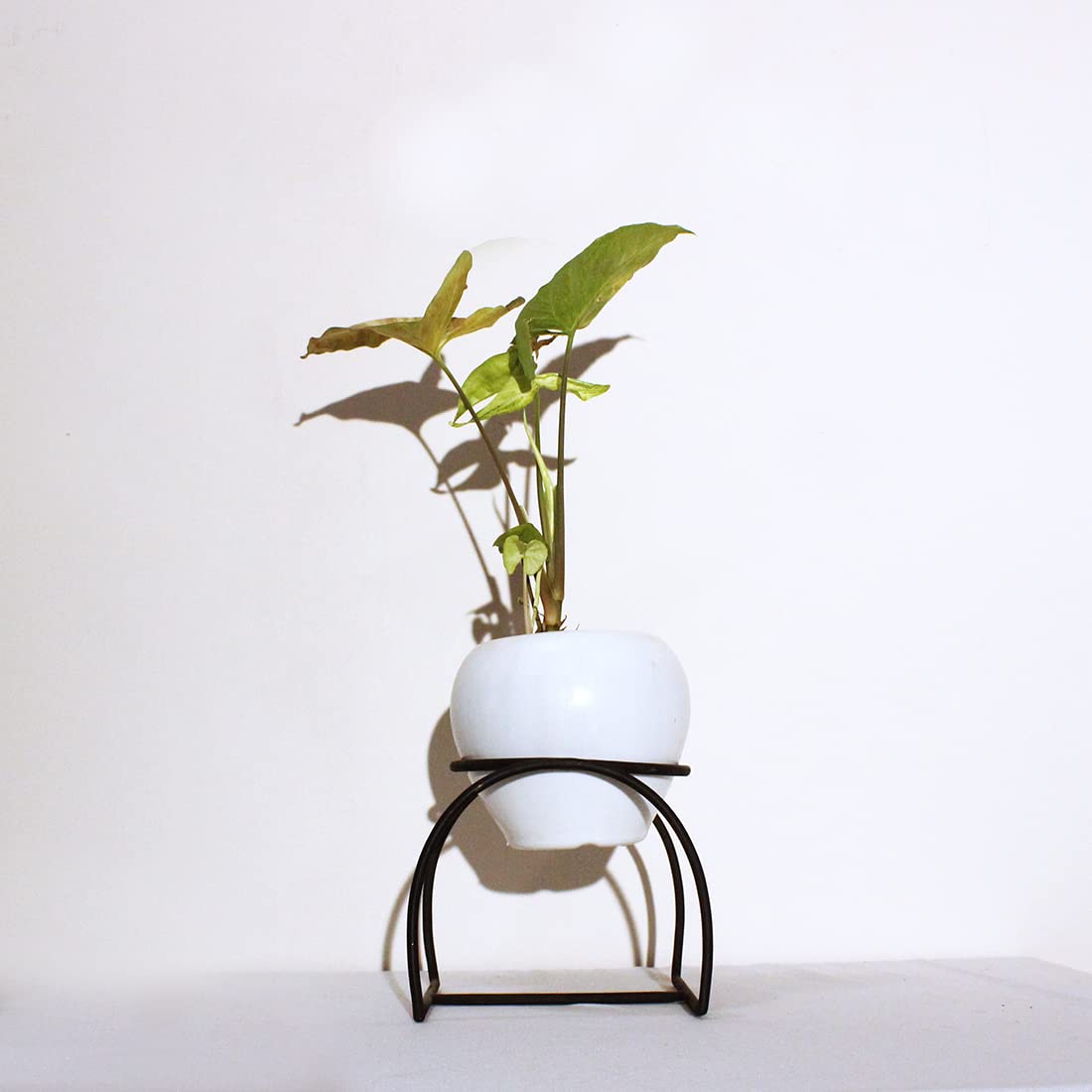 Modern Small Iron Plant Stand Without Planter, Corner Plant Stand, Kitchen Dining Table Pot Stand for Living Room Decor Home Decor Balcony Outdoor - Image 4