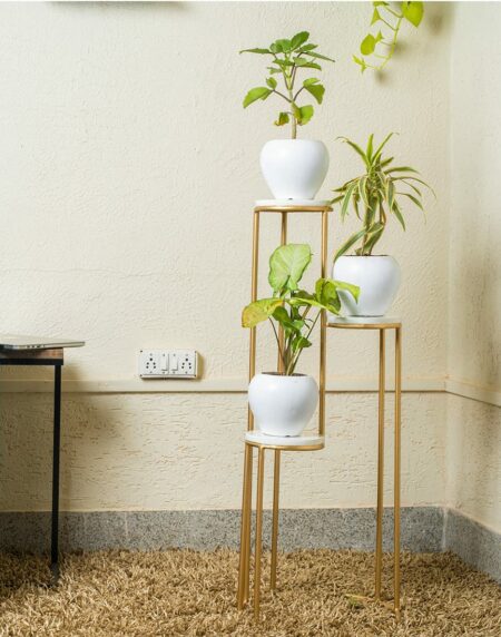Iron Plant Stand Outdoor