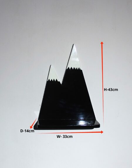 Floating Wall Shelf with size