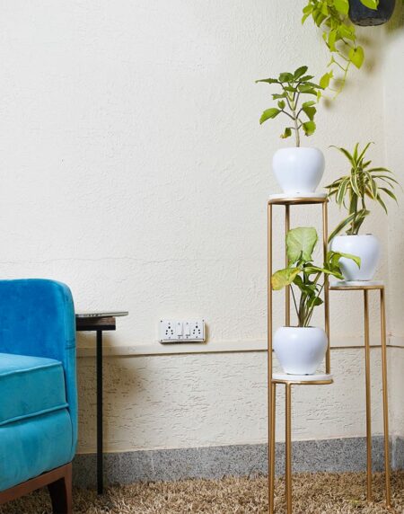 Iron Plant Stand